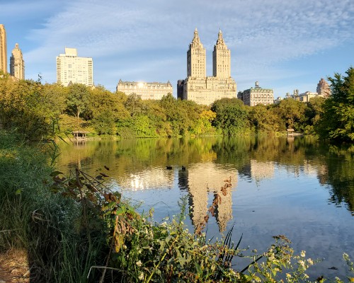 New York Central Park pond