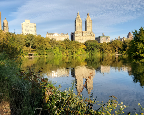New York Central Park pond