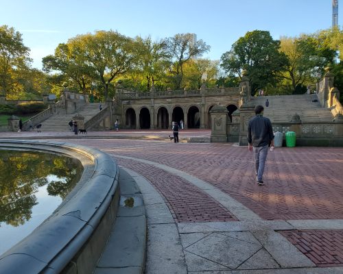 New York Central Park pond