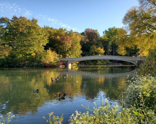 New York Central Park Bridge