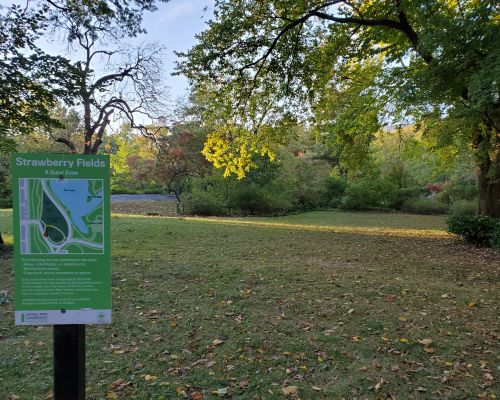 Strawberry Fields