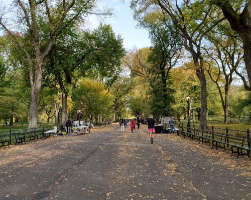 Central Park